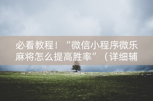 必看教程！“微信小程序微乐麻将怎么提高胜率”（详细辅助教程）-哔哩哔哩