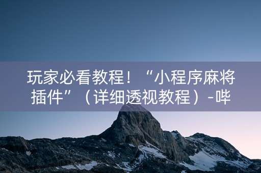 玩家必看教程！“小程序麻将插件”（详细透视教程）-哔哩哔哩