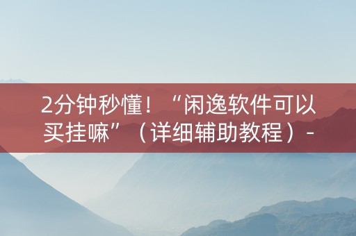 2分钟秒懂！“闲逸软件可以买挂嘛”（详细辅助教程）-哔哩哔哩