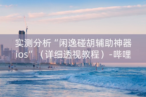 实测分析“闲逸碰胡辅助神器ios”（详细透视教程）-哔哩哔哩