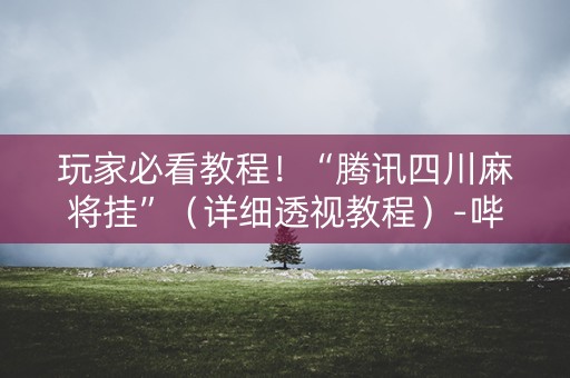 玩家必看教程！“腾讯四川麻将挂”（详细透视教程）-哔哩哔哩