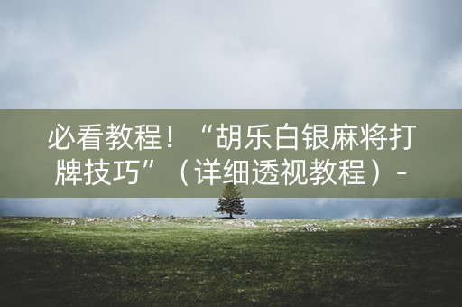 必看教程！“胡乐白银麻将打牌技巧”（详细透视教程）-哔哩哔哩