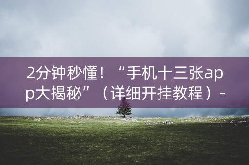 2分钟秒懂！“手机十三张app大揭秘”（详细开挂教程）-哔哩哔哩