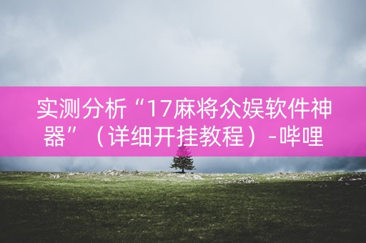 实测分析“17麻将众娱软件神器”（详细开挂教程）-哔哩哔哩