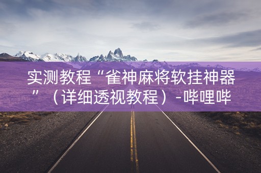 实测教程“雀神麻将软挂神器”（详细透视教程）-哔哩哔哩