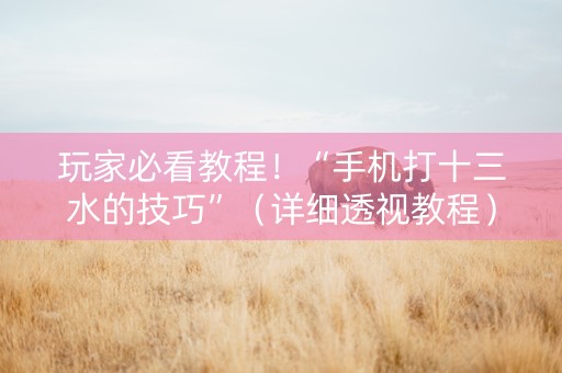 玩家必看教程！“手机打十三水的技巧”（详细透视教程）-哔哩哔哩