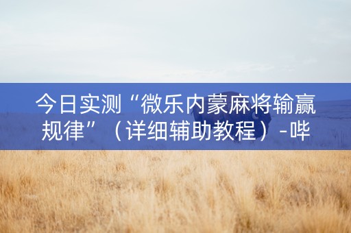 今日实测“微乐内蒙麻将输赢规律”（详细辅助教程）-哔哩哔哩