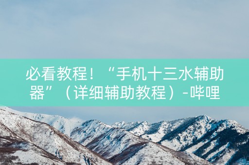 必看教程！“手机十三水辅助器”（详细辅助教程）-哔哩哔哩