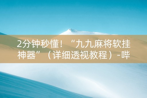 2分钟秒懂！“九九麻将软挂神器”（详细透视教程）-哔哩哔哩