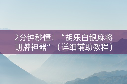 2分钟秒懂！“胡乐白银麻将胡牌神器”（详细辅助教程）-哔哩哔哩