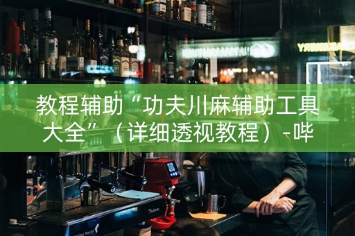 教程辅助“功夫川麻辅助工具大全”（详细透视教程）-哔哩哔哩