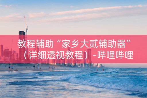 教程辅助“家乡大贰辅助器”（详细透视教程）-哔哩哔哩