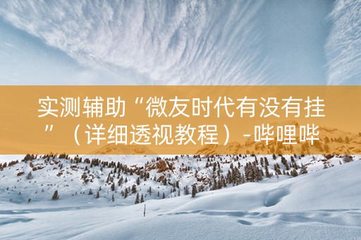 实测辅助“微友时代有没有挂”（详细透视教程）-哔哩哔哩