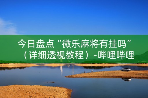 今日盘点“微乐麻将有挂吗”（详细透视教程）-哔哩哔哩