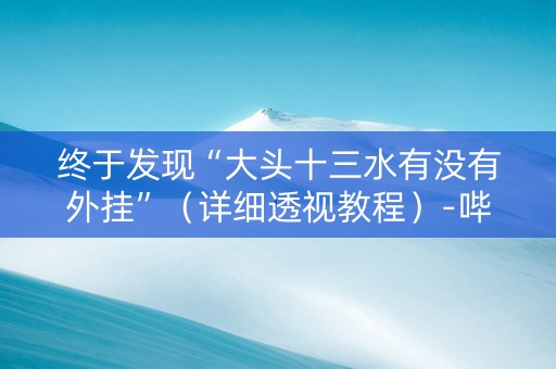 终于发现“大头十三水有没有外挂”（详细透视教程）-哔哩哔哩