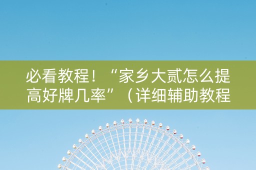 必看教程！“家乡大贰怎么提高好牌几率”（详细辅助教程）-哔哩哔哩