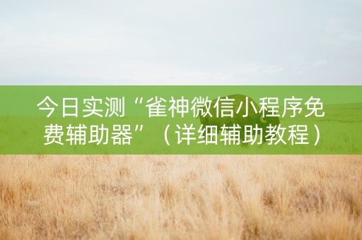 今日实测“雀神微信小程序免费辅助器”（详细辅助教程）-哔哩哔哩