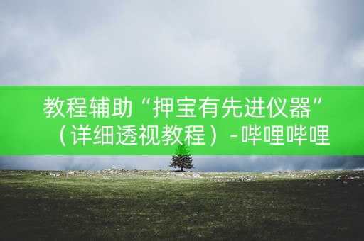 教程辅助“押宝有先进仪器”（详细透视教程）-哔哩哔哩