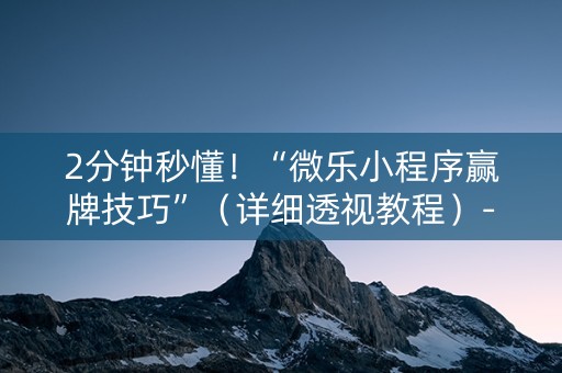 2分钟秒懂！“微乐小程序赢牌技巧”（详细透视教程）-哔哩哔哩