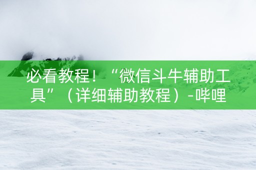 必看教程！“微信斗牛辅助工具”（详细辅助教程）-哔哩哔哩