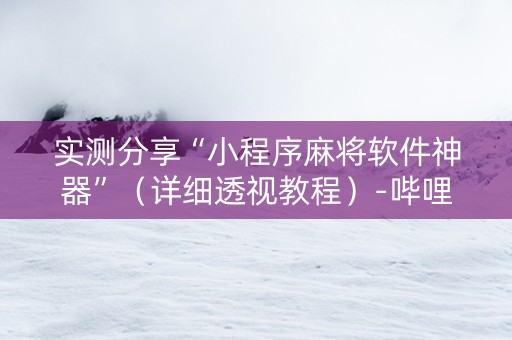 实测分享“小程序麻将软件神器”（详细透视教程）-哔哩哔哩