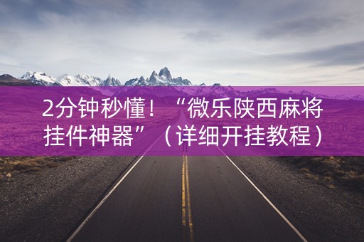 2分钟秒懂！“微乐陕西麻将挂件神器”（详细开挂教程）-哔哩哔哩