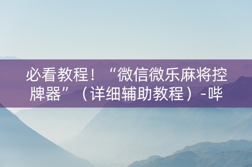 必看教程！“微信微乐麻将控牌器”（详细辅助教程）-哔哩哔哩