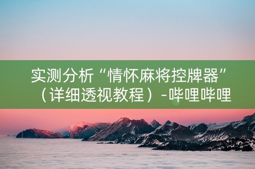 实测分析“情怀麻将控牌器”（详细透视教程）-哔哩哔哩