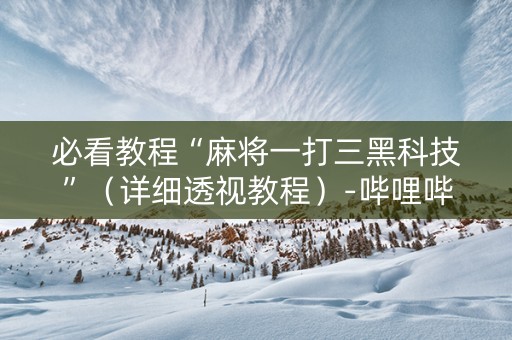 必看教程“麻将一打三黑科技”（详细透视教程）-哔哩哔哩