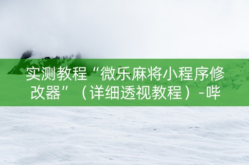 实测教程“微乐麻将小程序修改器”（详细透视教程）-哔哩哔哩
