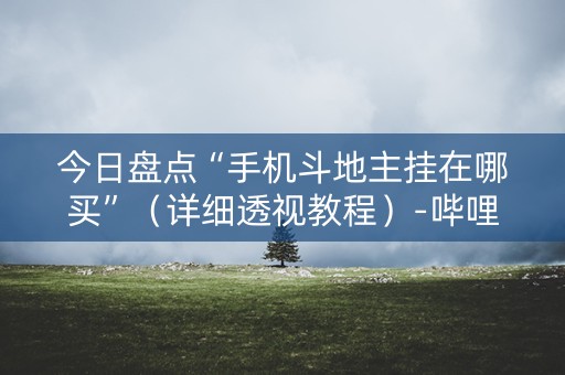 今日盘点“手机斗地主挂在哪买”（详细透视教程）-哔哩哔哩