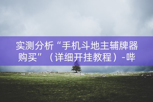实测分析“手机斗地主辅牌器购买”（详细开挂教程）-哔哩哔哩