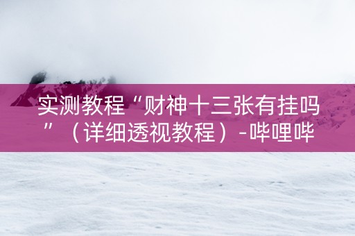 实测教程“财神十三张有挂吗”（详细透视教程）-哔哩哔哩
