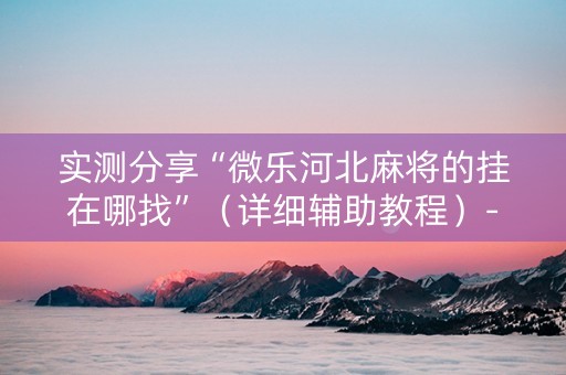 实测分享“微乐河北麻将的挂在哪找”（详细辅助教程）-哔哩哔哩