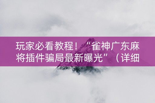 玩家必看教程！“雀神广东麻将插件骗局最新曝光”（详细开挂教程）-哔哩哔哩