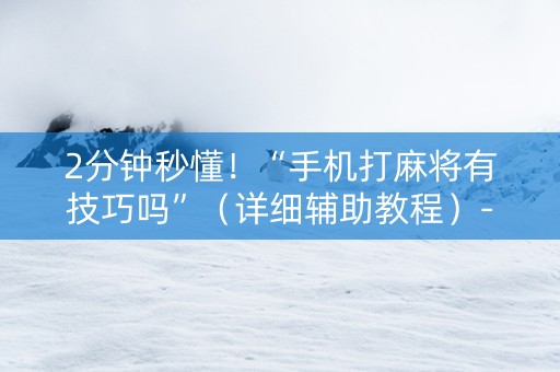2分钟秒懂！“手机打麻将有技巧吗”（详细辅助教程）-哔哩哔哩