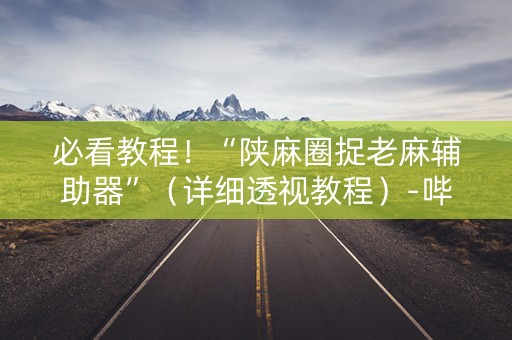 必看教程！“陕麻圈捉老麻辅助器”（详细透视教程）-哔哩哔哩