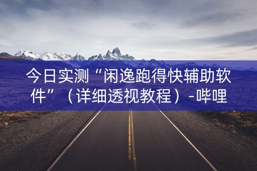 今日实测“闲逸跑得快辅助软件”（详细透视教程）-哔哩哔哩