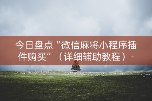 今日盘点“微信麻将小程序插件购买”（详细辅助教程）-哔哩哔哩