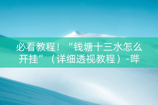 必看教程！“钱塘十三水怎么开挂”（详细透视教程）-哔哩哔哩