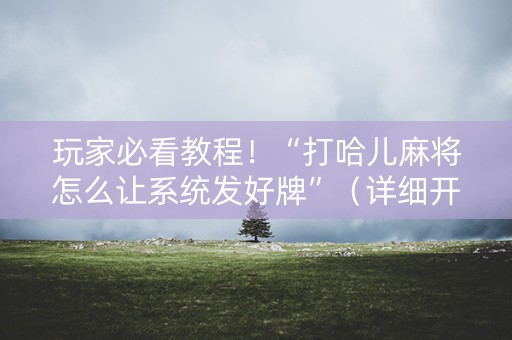 玩家必看教程！“打哈儿麻将怎么让系统发好牌”（详细开挂教程）-哔哩哔哩