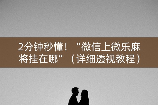 2分钟秒懂！“微信上微乐麻将挂在哪”（详细透视教程）-哔哩哔哩