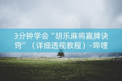 3分钟学会“胡乐麻将赢牌诀窍”（详细透视教程）-哔哩哔哩
