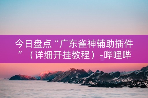 今日盘点“广东雀神辅助插件”（详细开挂教程）-哔哩哔哩