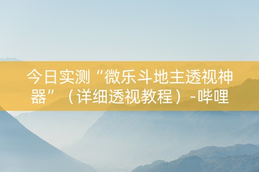 今日实测“微乐斗地主透视神器”（详细透视教程）-哔哩哔哩