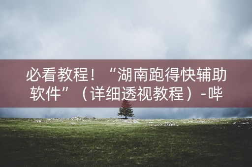必看教程！“湖南跑得快辅助软件”（详细透视教程）-哔哩哔哩