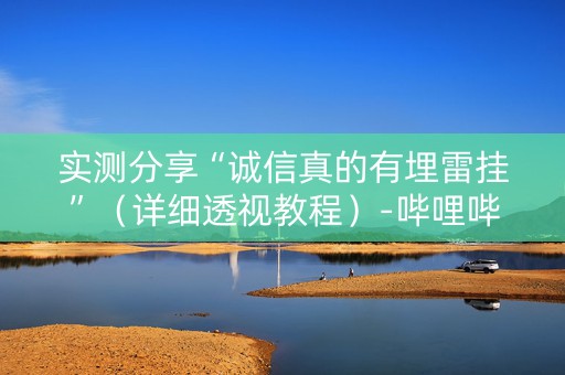 实测分享“诚信真的有埋雷挂”（详细透视教程）-哔哩哔哩