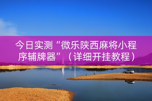 今日实测“微乐陕西麻将小程序辅牌器”（详细开挂教程）-哔哩哔哩