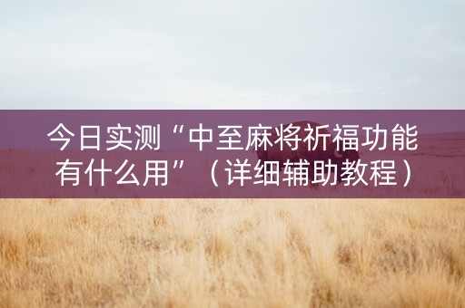 今日实测“中至麻将祈福功能有什么用”（详细辅助教程）-哔哩哔哩