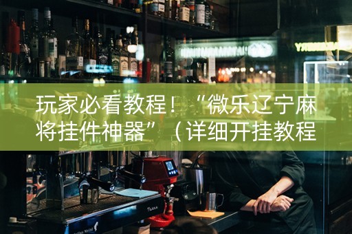 玩家必看教程！“微乐辽宁麻将挂件神器”（详细开挂教程）-哔哩哔哩